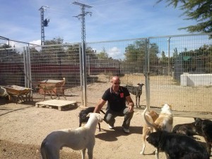 Jesús martin Moya adiestrador canino en Palencia